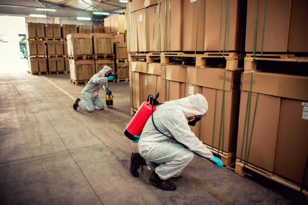 Bird Control in Fort Mohave, AZ