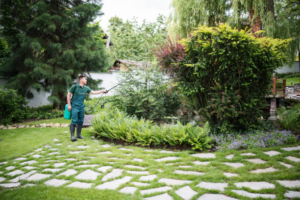 Reliable Fort Mohave, AZ Pest Control Solutions