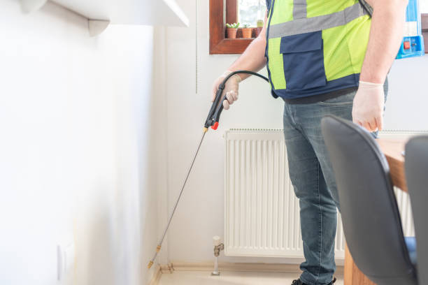 Best Wasp Removal Services  in Fort Mohave, AZ