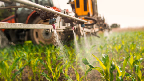 Best Commercial Pest Control Services  in Fort Mohave, AZ